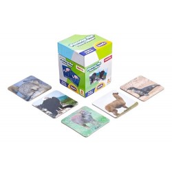 Juego De Mesa Memorice Plus Fauna Chilena 32 Piezas Dactic