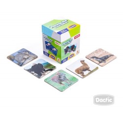 Memorice Plus Fauna Chilena 32 Piezas Dactic